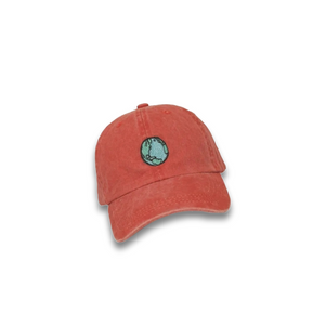 Earth Gorra